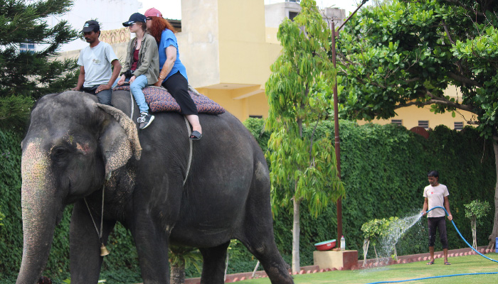 Elephant Riding